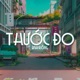 Thước Đo Lofi Single