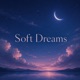Soft Dreams Single