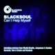 Can t Help Myself Remixes