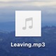 Leaving Single