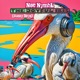 The Joyful Ibis Sunny Days Single