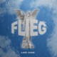 Flieg Single