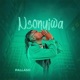 Nsonyiwa Single