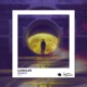 Remedy Single