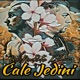 Ćale Jedini feat Ivica Šošić Single