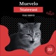 Muevalo Single