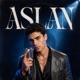 ASLAN POP ALBÜM feat ASLAN