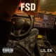FSD Single
