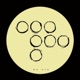 Brood Single