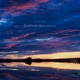 Rowboat Adventures Single