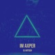Im Axper Single