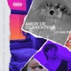 Amor de Cuarentena Single