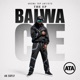 Baiwa Single