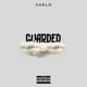 Guarded Single