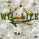 WIL LIFE Single