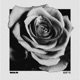War EP