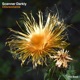 Choreomania Single