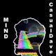 Mind Single