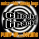 Pump Up The Volume Single