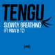 Slowly Breathing feat Pavv TZ Single