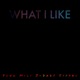 What I Like feat J Dab SypSki Single