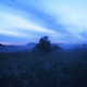 spring wind Single