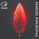 Phoenix Down Single
