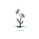 Bloom Single