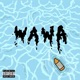 Wawa Single