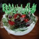 Krush Salad EP