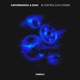 In Control Liva K Remix Single
