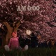 Am0 00