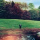 Echoes