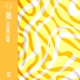 Feel the Groove Single