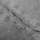 Cicatrices Single