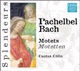 DHM Splendeurs Pachelbel Bach Motets