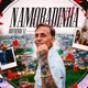 Namoradinha Single