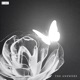 The Answers Single