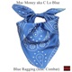 Blue Ragging feat Combat Single