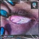 Whistleblower EP