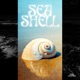Seashell Single