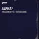 Fragments Interlude Single
