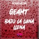 Bajo la Luna Llena feat Geamt Single