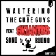 Sono Buono feat Skiantos Single