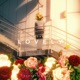 Lovely Acoustic Version Single