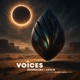 Voices Single