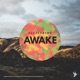 Awake Single