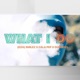 What I Do feat D24 Smilez Cal Pep Single