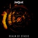 Realm Of Stasis Single