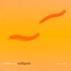 Million Leg Millipede Single